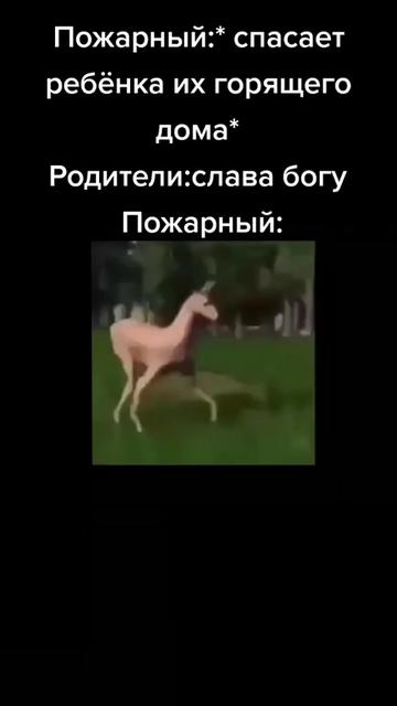 @Я расист