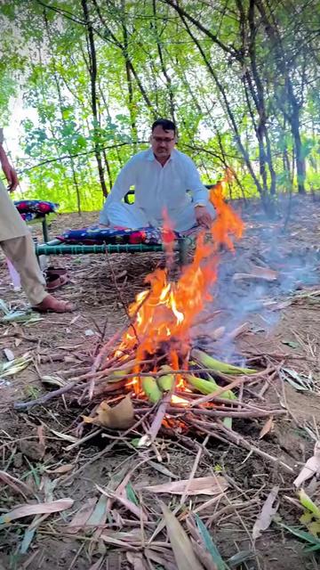 @꧁༺ 🫵 Wajid 🫰 صوابیوال 🫵 ༻꧂