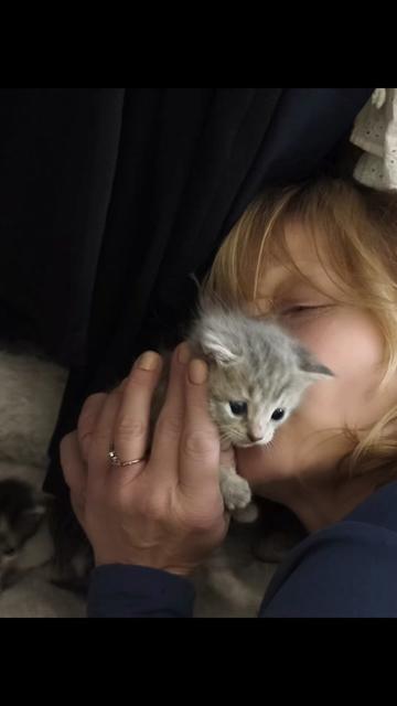 @ToniaNatureHealing