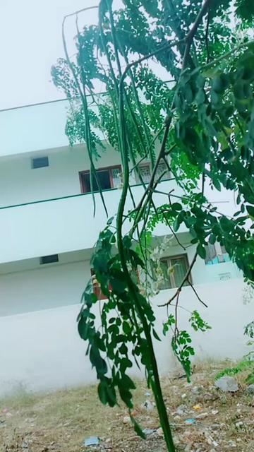 @Praveen Kumar