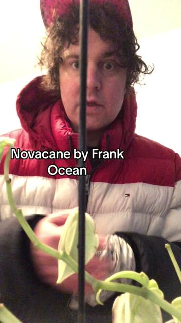 @Foolish Triangle