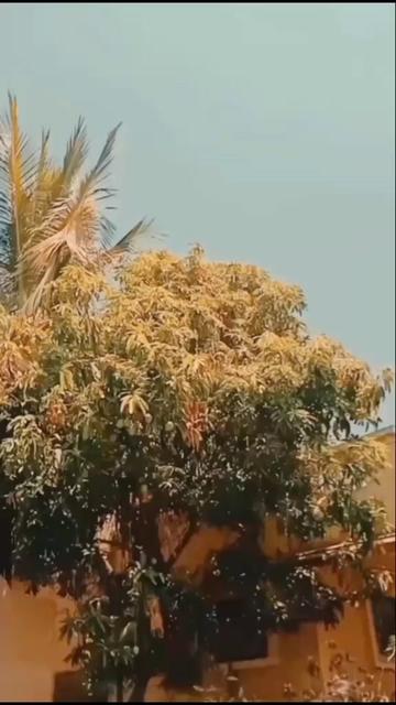 @🔥 Mansi🔥