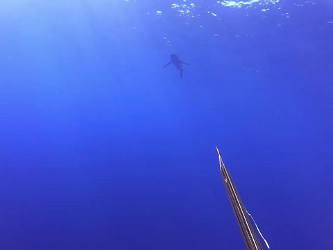 @kairosspearfishing