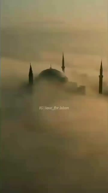 @Rajpoot Ali