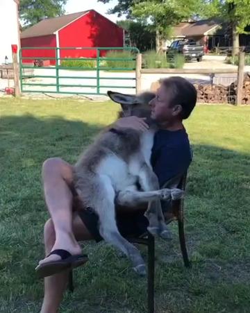 @Funny Animals World R
