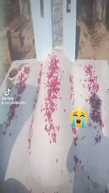 @shahbaz