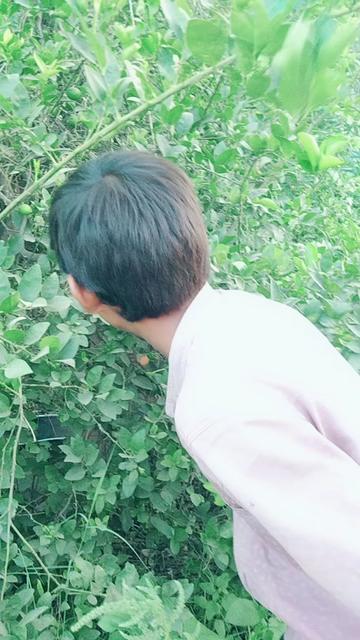 @Ajitvaghela Ajitvagh