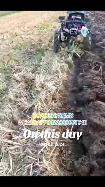 @dambafarms