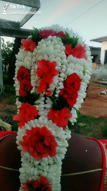 @Lalitha Lalitha