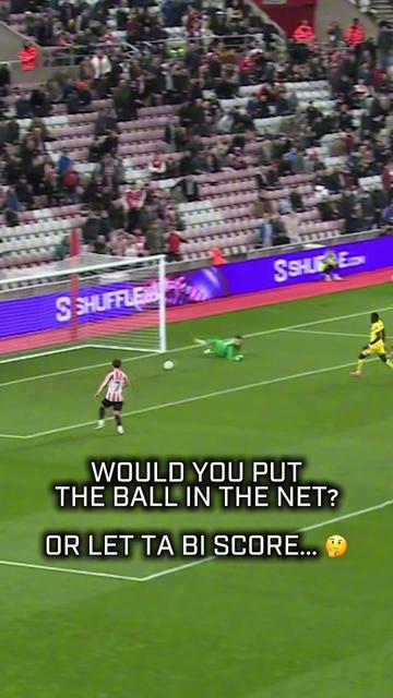 @Sunderland AFC