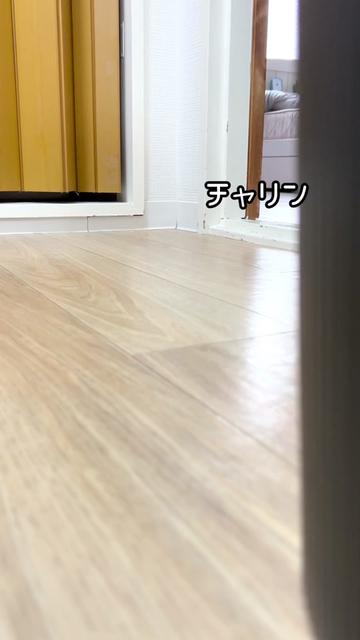 @ジャンキソウ🐺