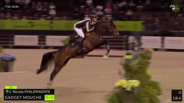 @Major League Show Jumping