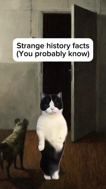@Histonerd
