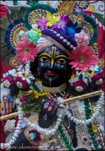 @Divya gehlot