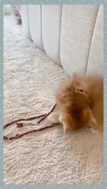 @هاملت