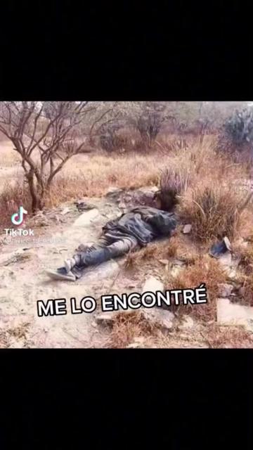@Alicia Escurra✔️