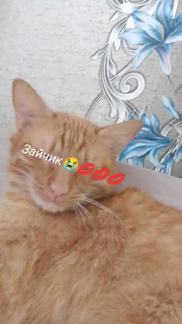 @Таро
