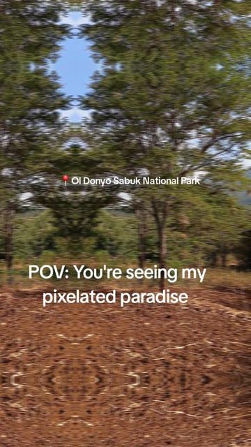@Andrew Wambua