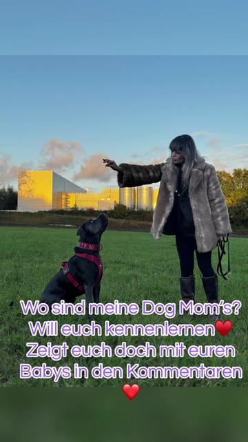 @Cane Corso Ayra 🐾