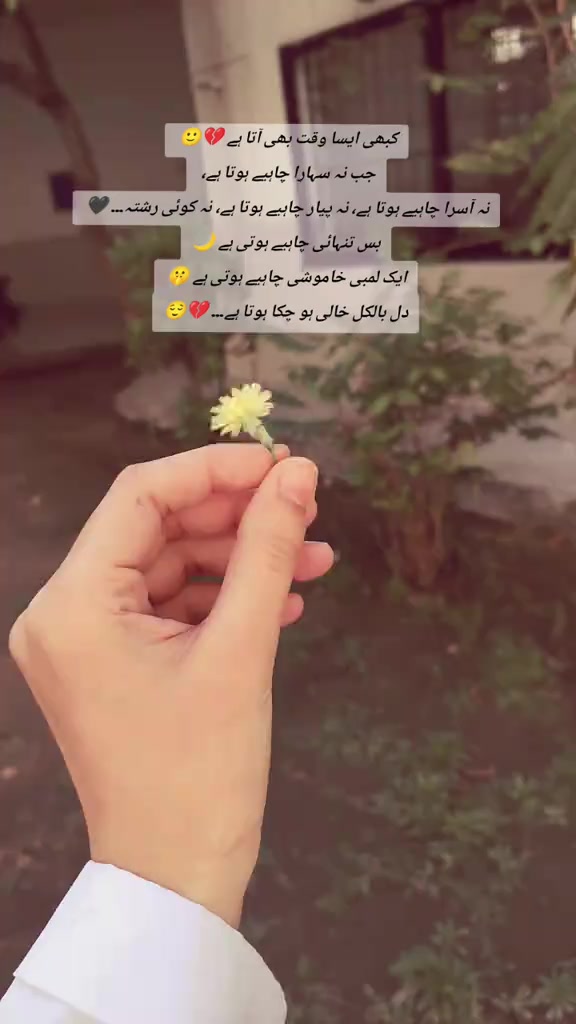 @DG khan