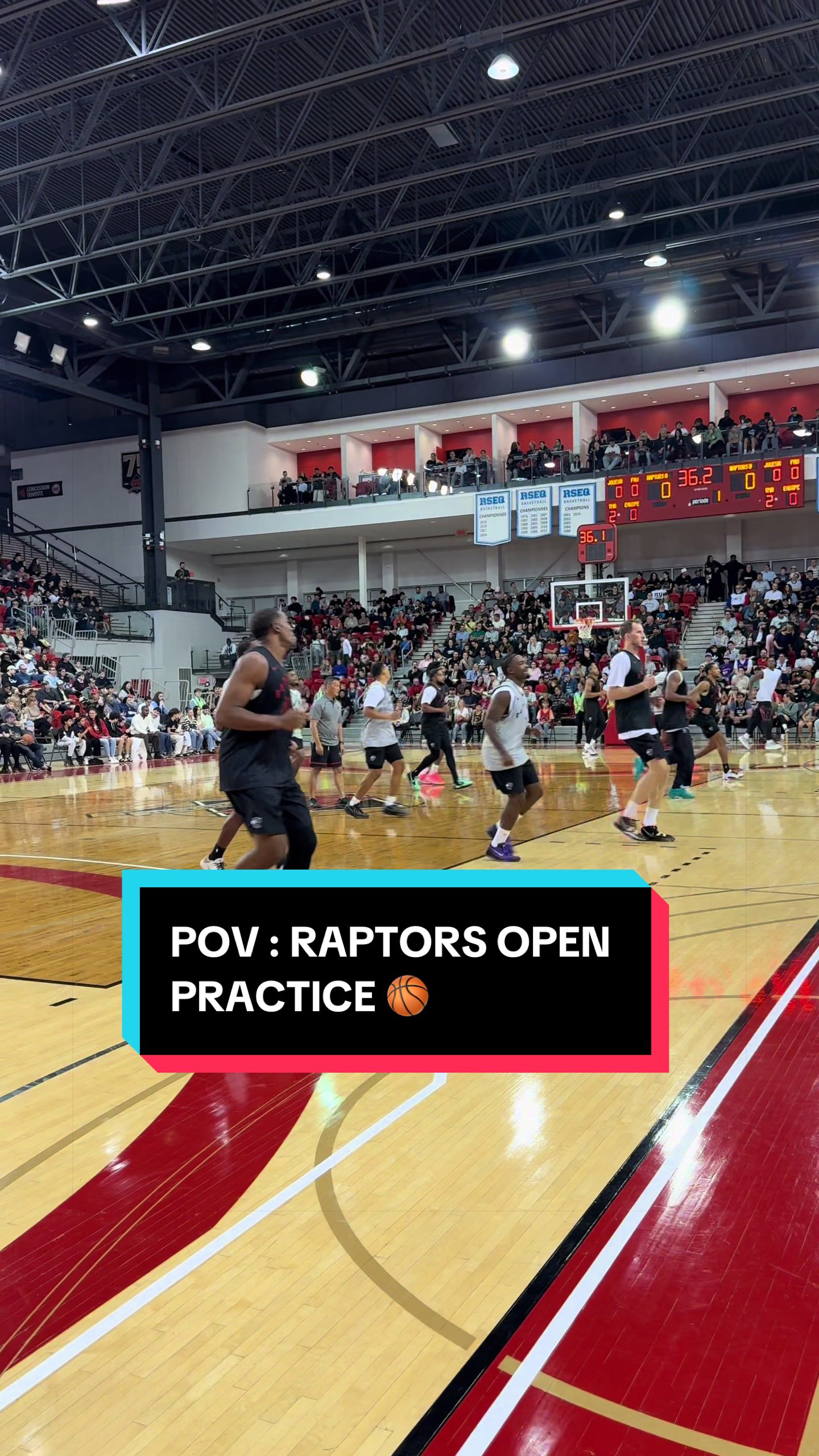 @Raptors