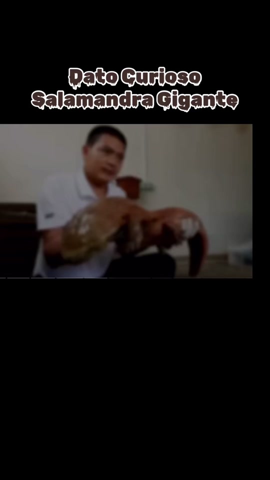 @Clips_Premium_2024