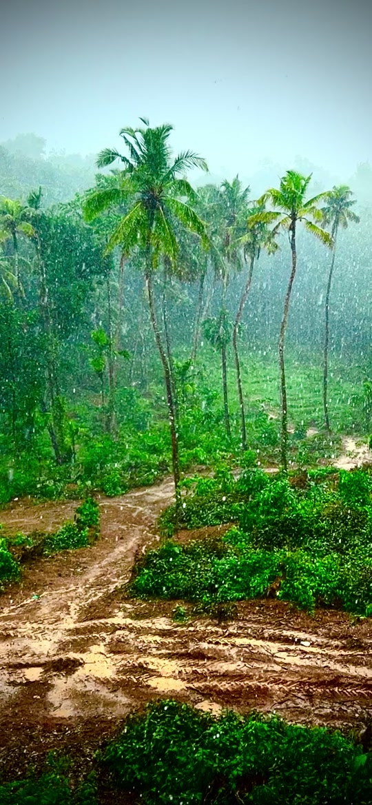 @Riyas Kallambalam