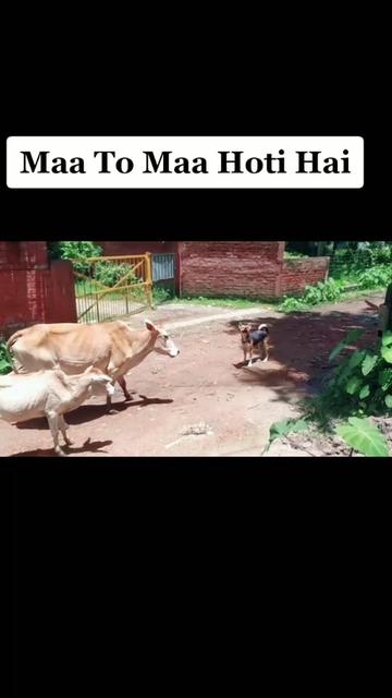 @SAURAV