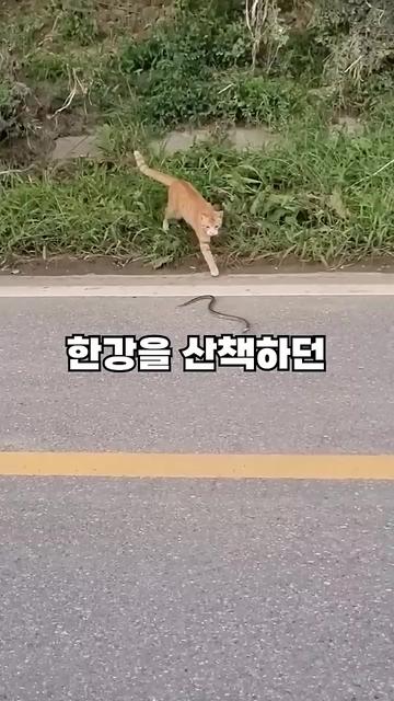 @잼나는 영상