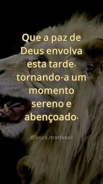 @Bora Rezar