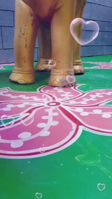 @user754360