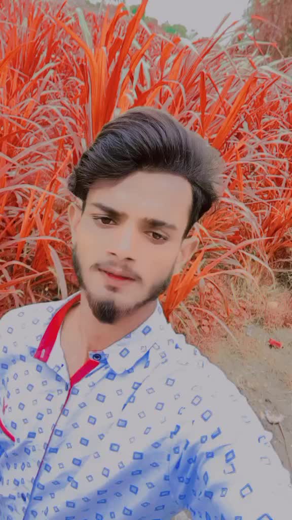 @Ali Shan