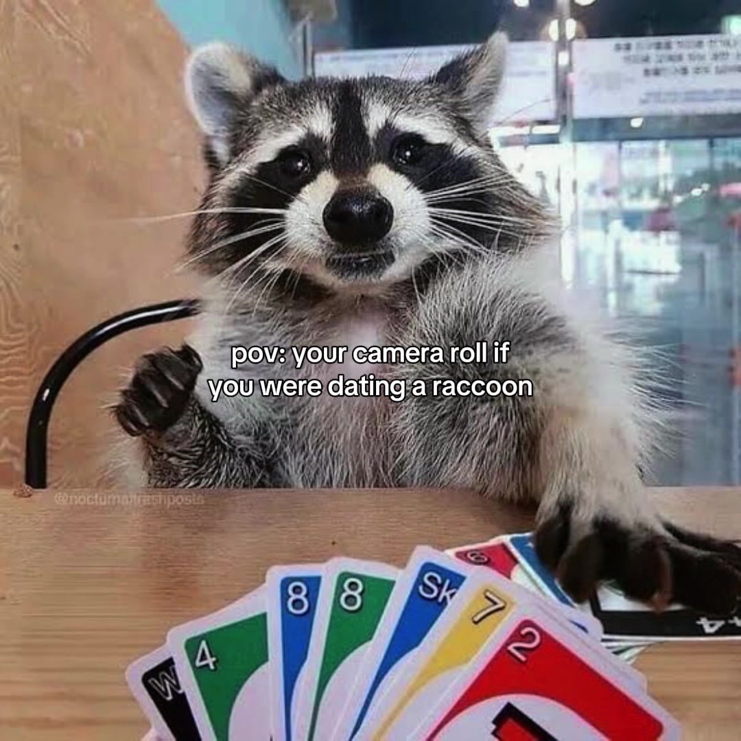 @Raccoon Music Videos