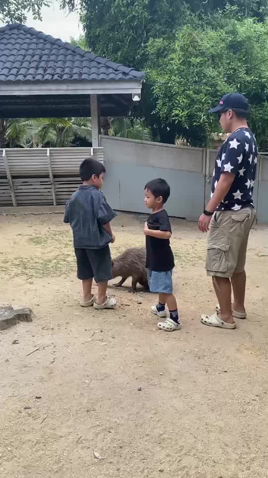 @TUA