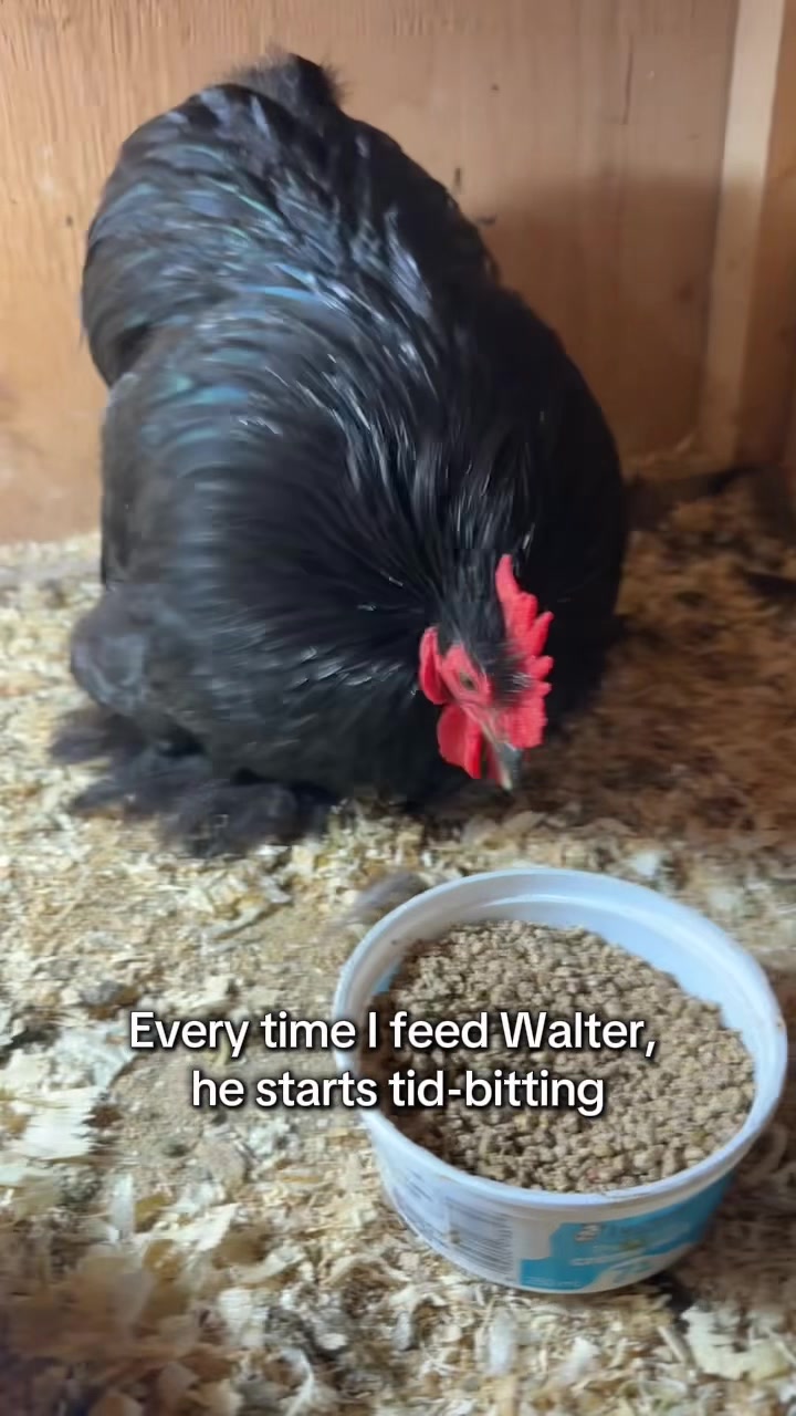 @FarmGirlRenee