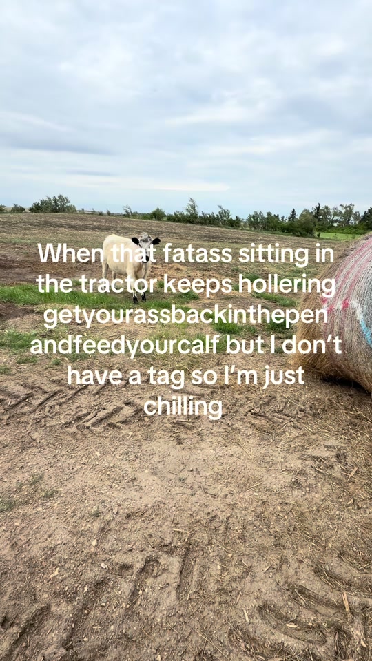 @cattleman840