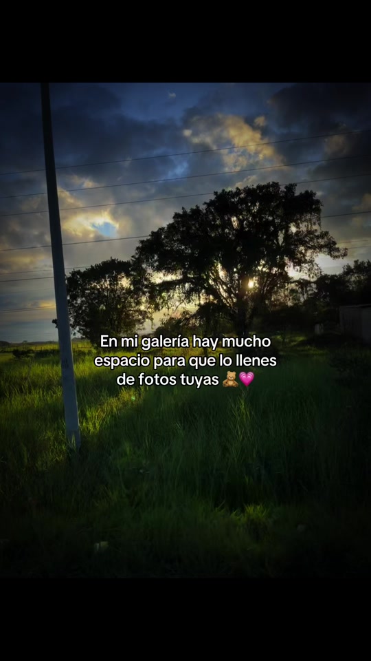 @Mayc 🐯