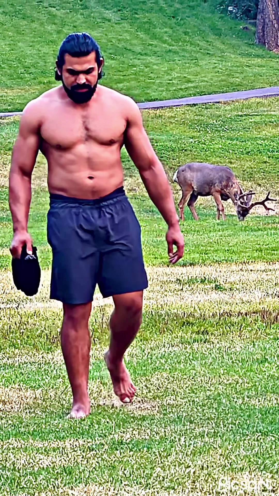 @Malik usman cheetah
