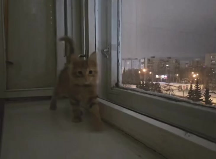 @для липсингов
