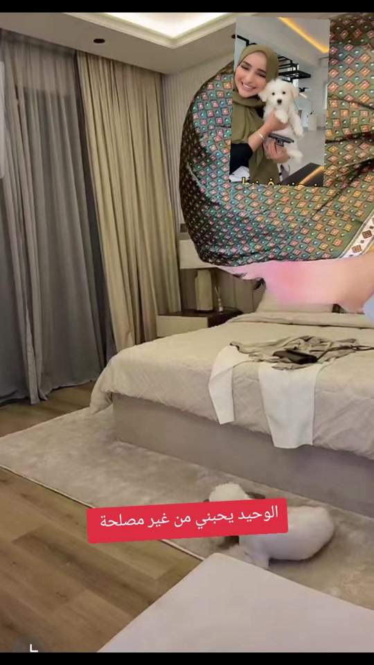 @Fox🦊