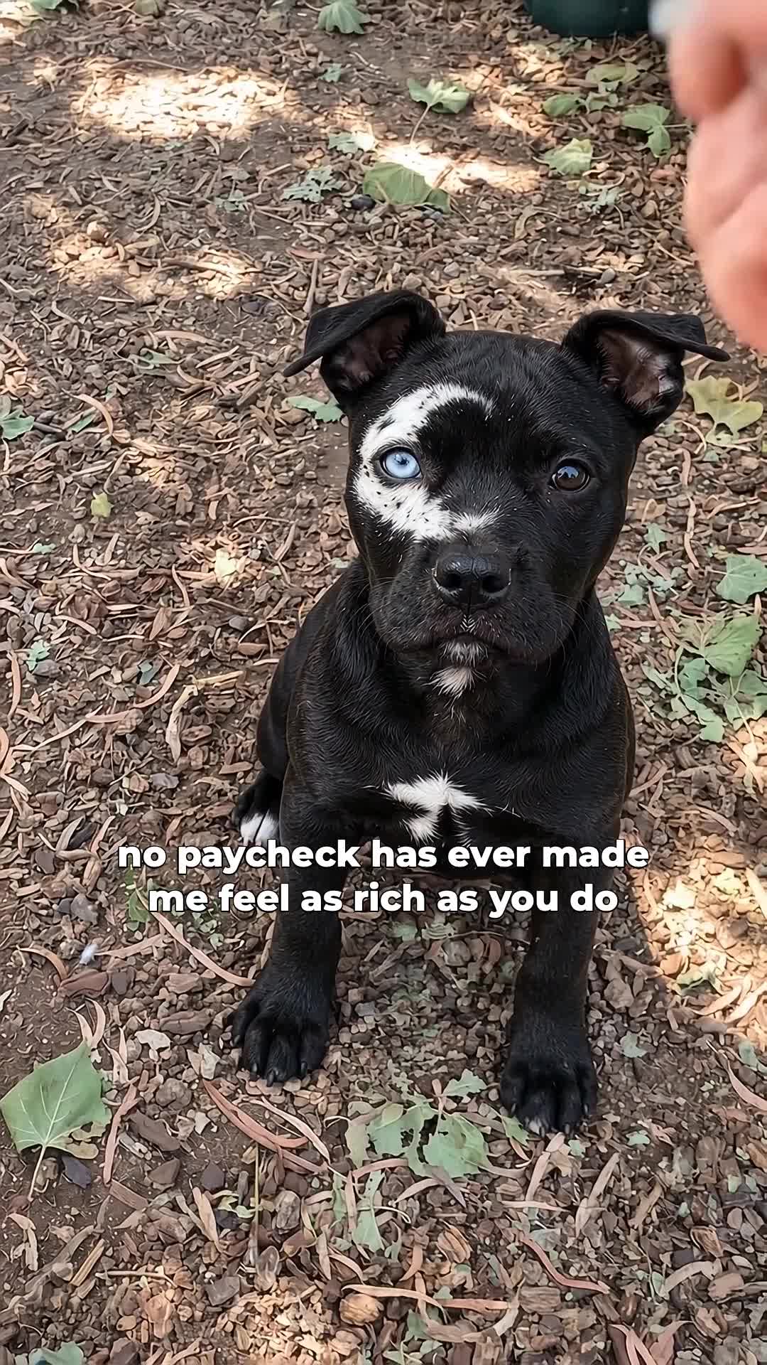@moonfetches