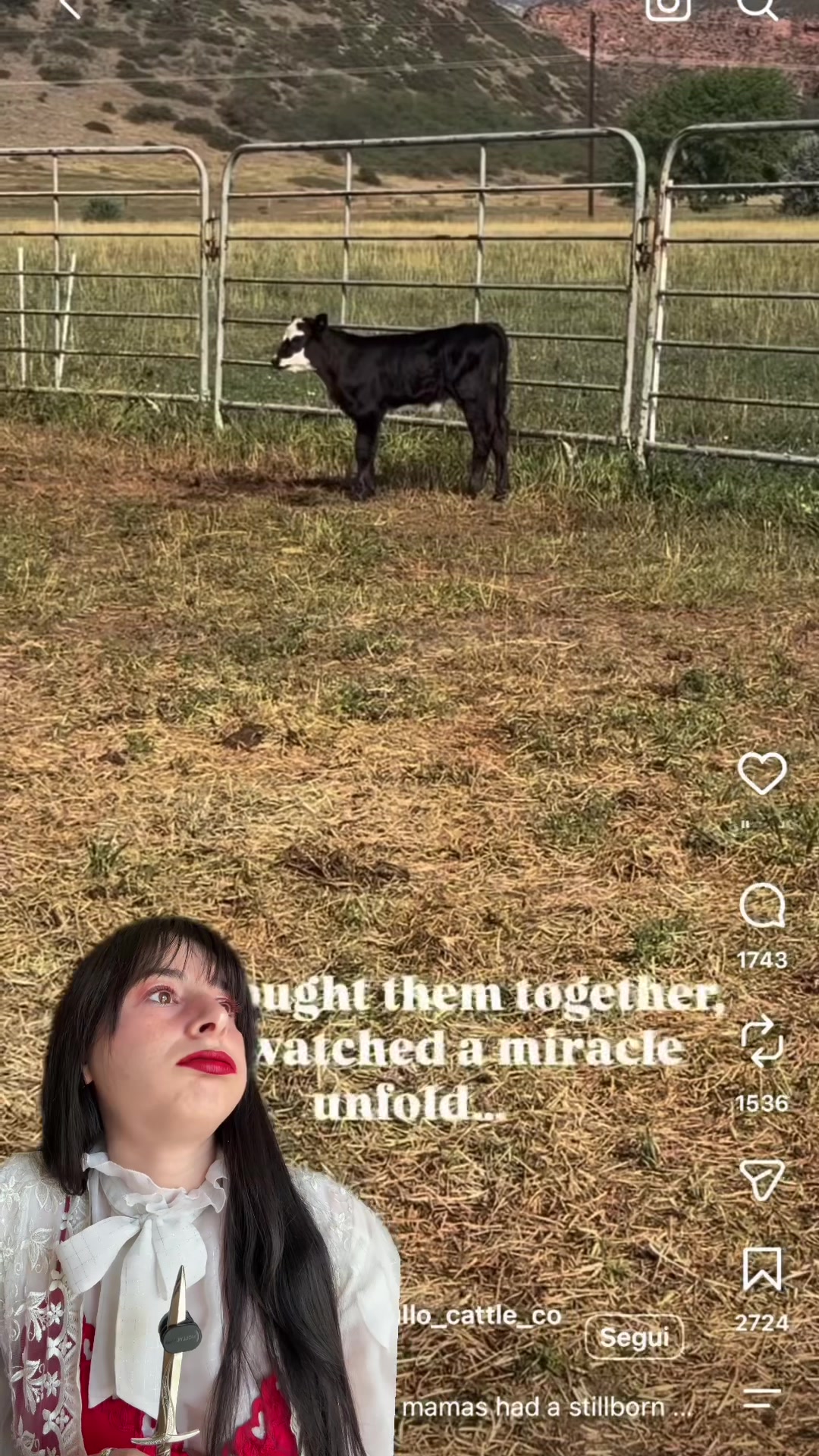 @vegan on a hellevator