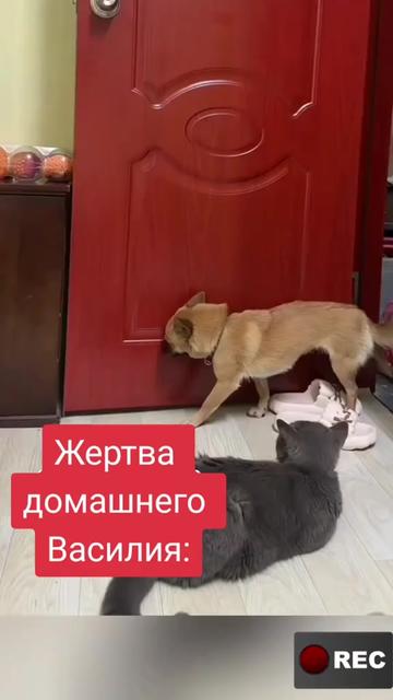@Лариса
