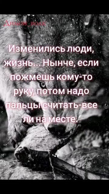 @✸Димон_Волк✸