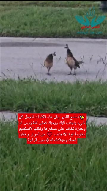@اسرار حواء الروحانيه