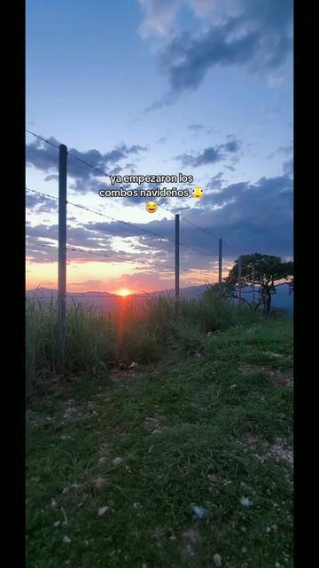 @⚡️⛦𝖆𝖑𝖇𝖊𝖗𝖙⛦🔱