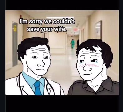 @HORSES