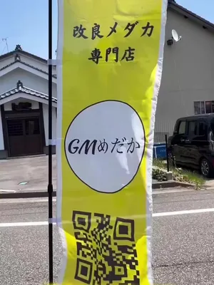 @gmmedaka.niigata