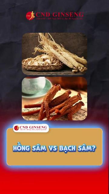 @CND GINSENG Bà Rịa