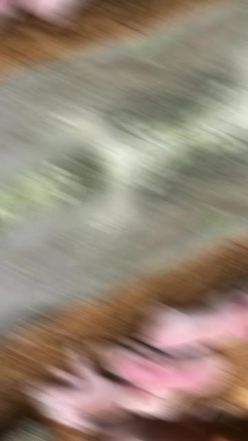 @MUNDO À PARTE